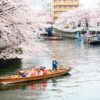 「お江戸深川さくらまつり」で和船に乗って、お花見を楽しみました