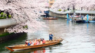 「お江戸深川さくらまつり」で和船に乗って、お花見を楽しみました