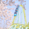 東武動物公園の開園チャリティーイベントで桜を満喫